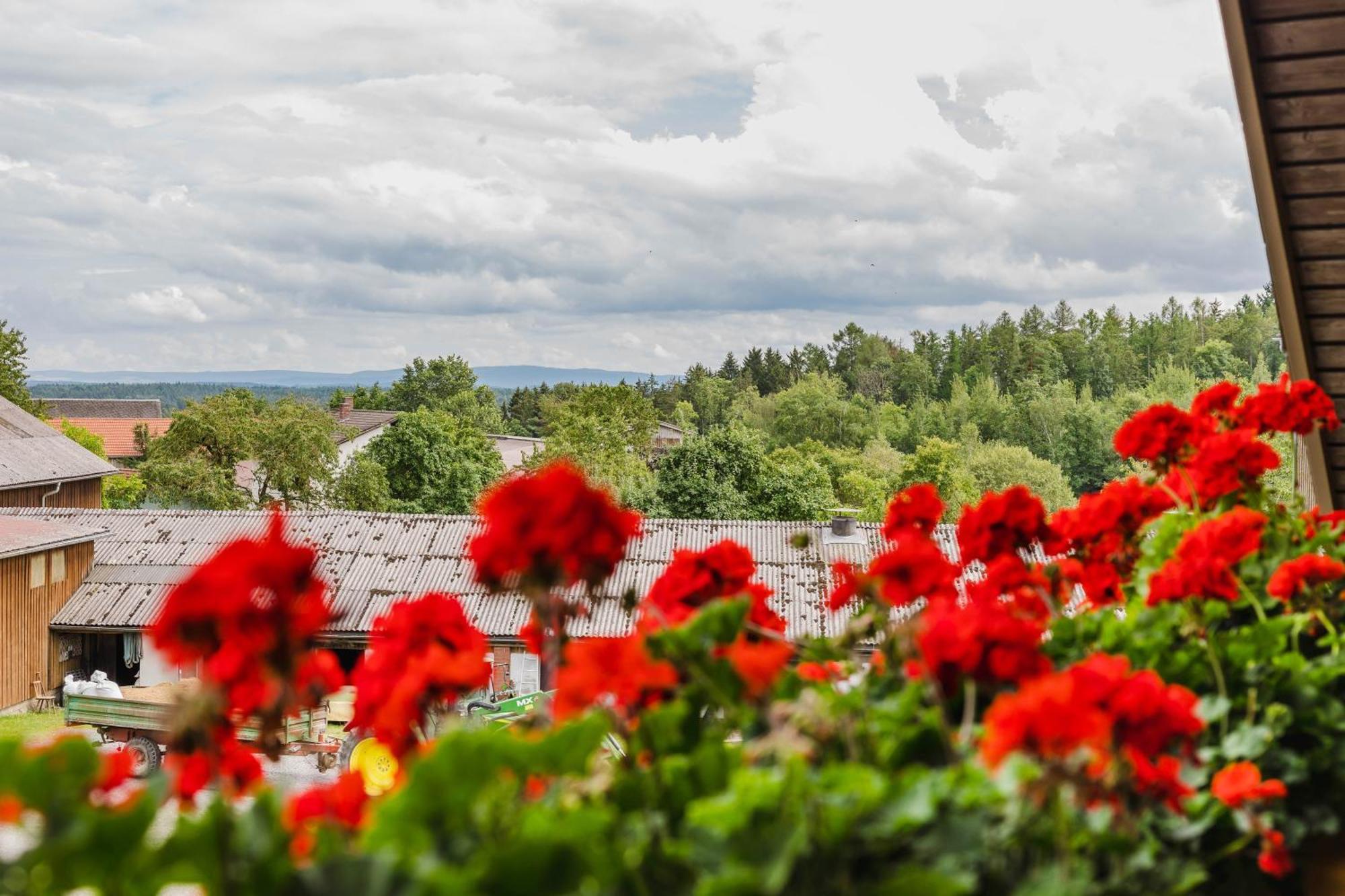 Ferienwohnung Baecher Wiesau エクステリア 写真